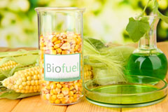 Llechcynfarwy biofuel availability
