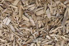biomass boilers Llechcynfarwy